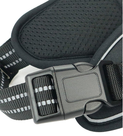 Durable Waterproof Pet Harness with Vertical Handle - KNM Sundry