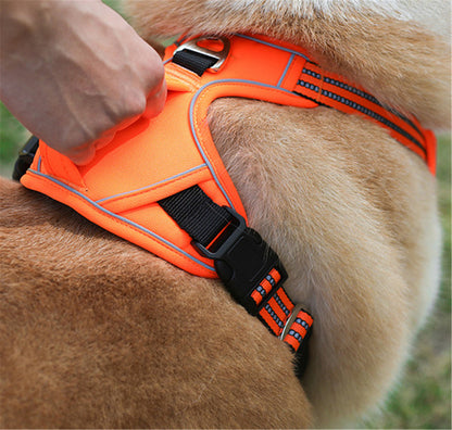 Durable Waterproof Pet Harness with Vertical Handle - KNM Sundry