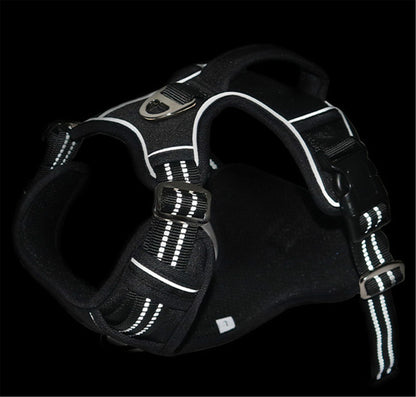 Durable Waterproof Pet Harness with Vertical Handle - KNM Sundry