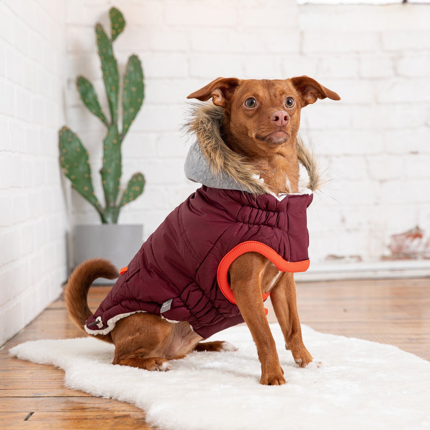 Winter Sailor Parka - Burgundy - KNM Sundry
