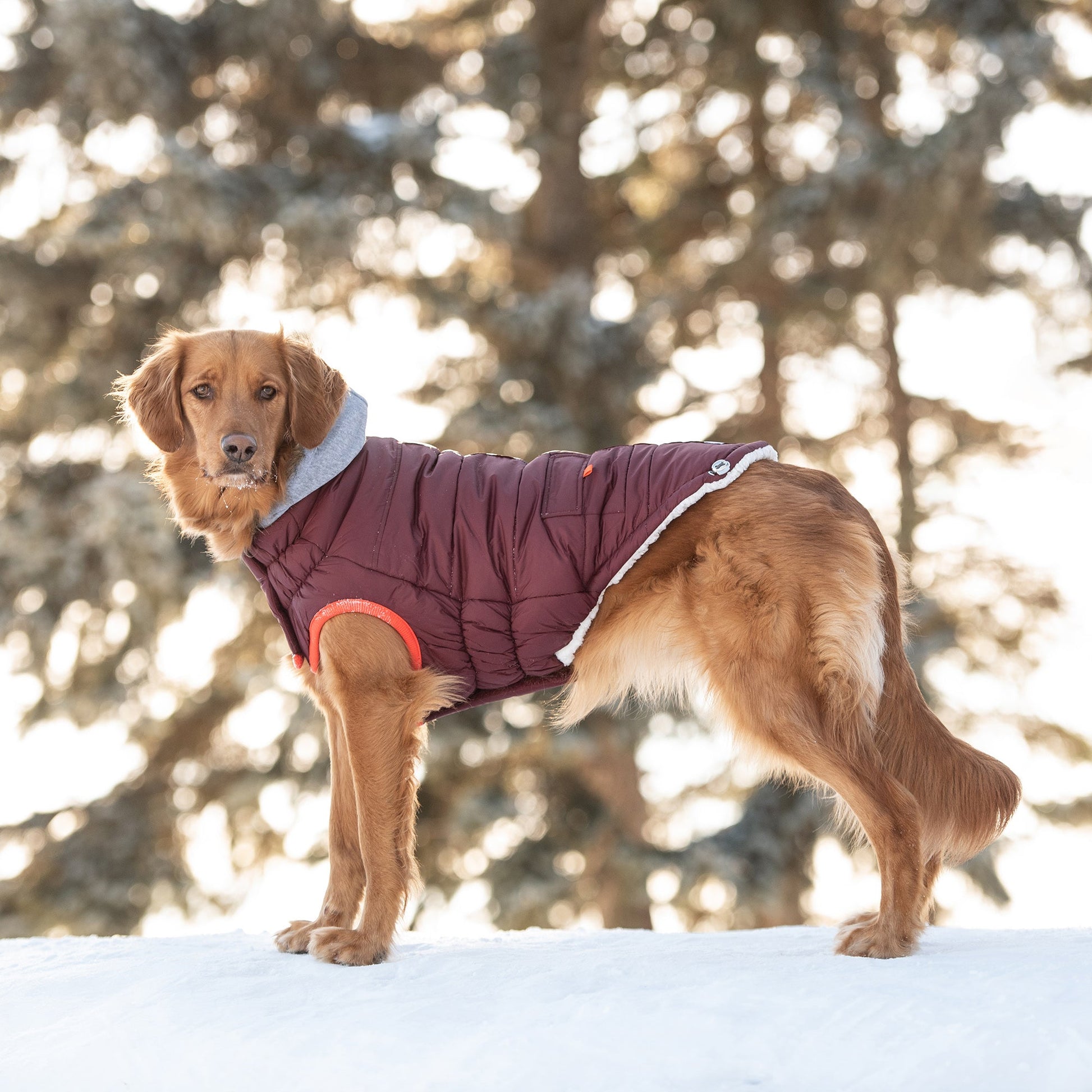 Winter Sailor Parka - Burgundy - KNM Sundry
