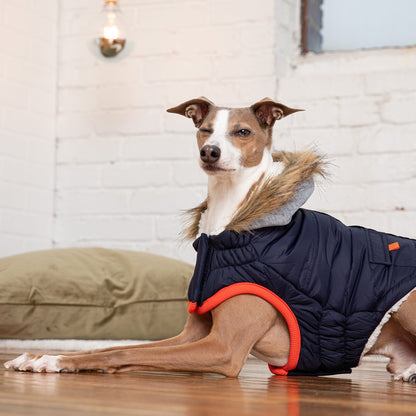 Winter Sailor Parka - Navy - KNM Sundry