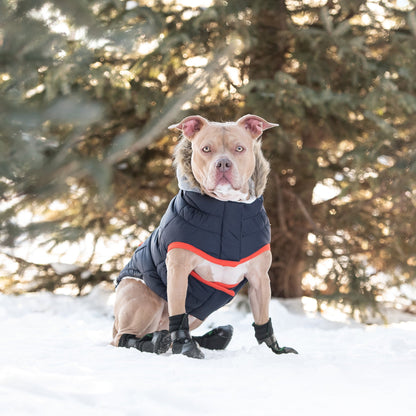 Winter Sailor Parka - Navy - KNM Sundry