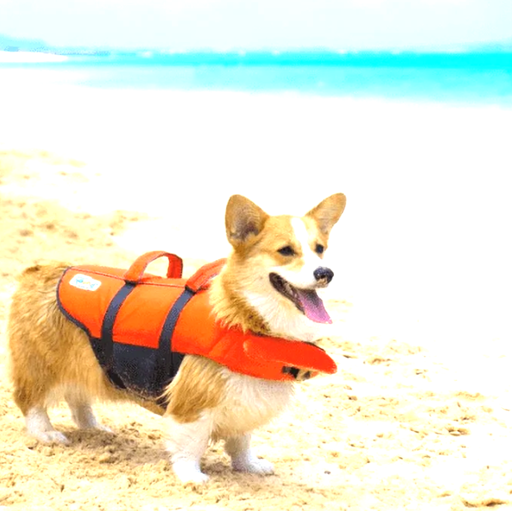 Outward Hound Dog Life Jacket Ripstop Life Jacket Fun, X-Large - KNM Sundry