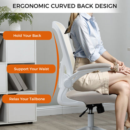 Ergonomic Mesh Office Chair with Breathable Back, Adjustable Height, Padded Seat & Armrests, 250 lbs Capacity, Modern Task Chair for Home Office & Workspace 8333 - KNM Sundry