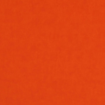 537728011