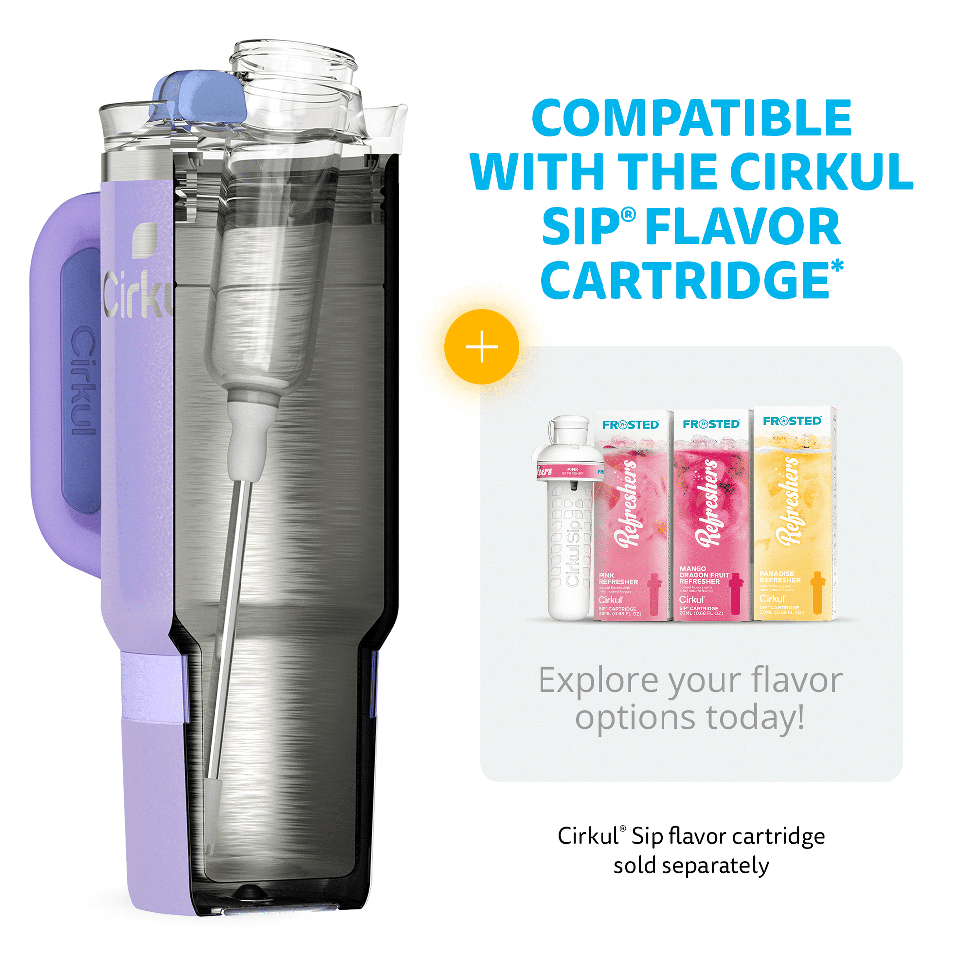 Travel Wall Insulated Stainless Steel Tumbler with Handle