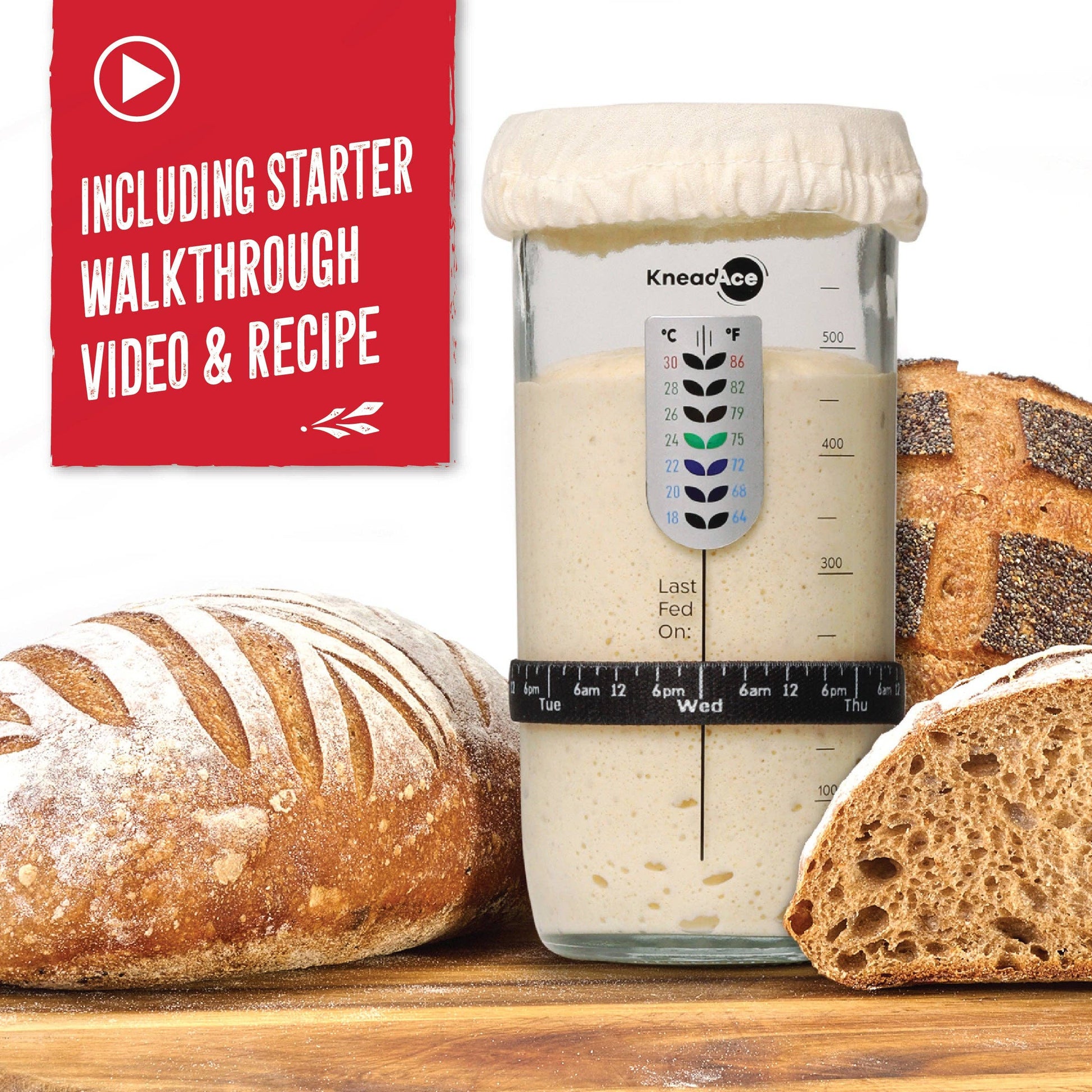 KneadAce® 24oz Sourdough Starter Jar: Single Pack - KNM Sundry